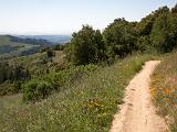 Russian Ridge 005